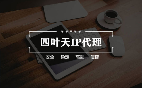 【澳门代理IP】如何快速搭建代理IP？怎么检查代理的效果？